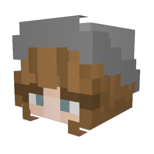 Mana369 Minecraft avatar head, 3D render