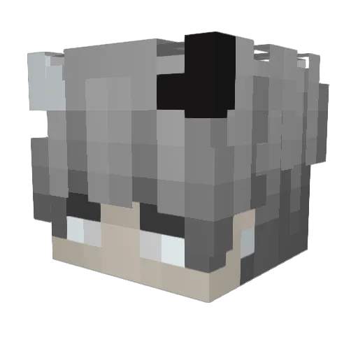 Mana_JRK1 Minecraft avatar head, 3D render