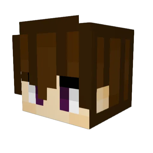 ManagedDoor270 Minecraft avatar head, 3D render