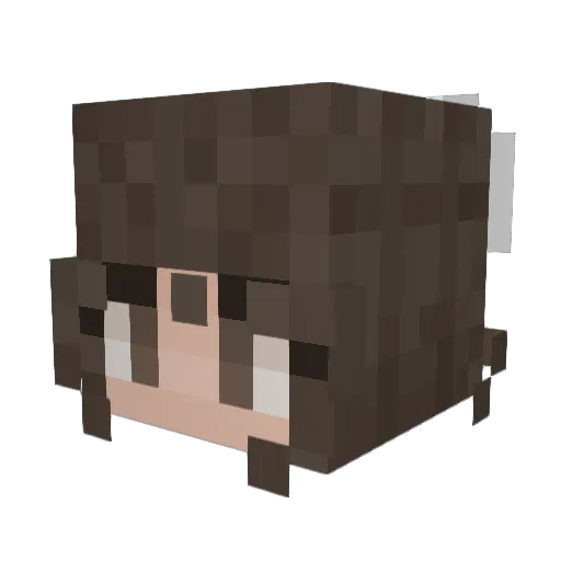 Mananster Minecraft avatar head, 3D render