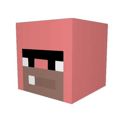 ManateeMan_1 Minecraft avatar head, 3D render