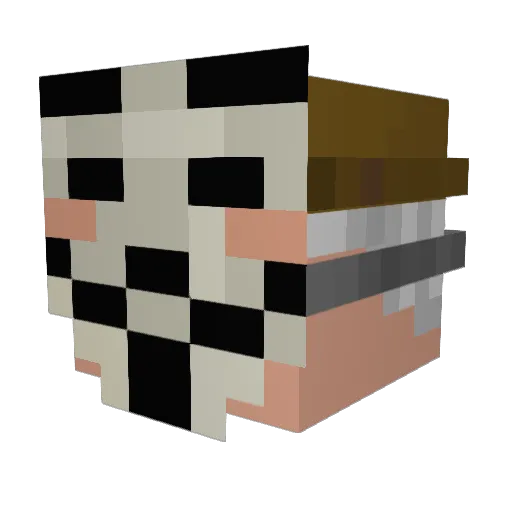 Manboi1211 Minecraft avatar head, 3D render