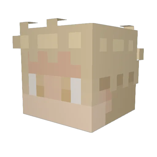 Manchel Minecraft avatar head, 3D render