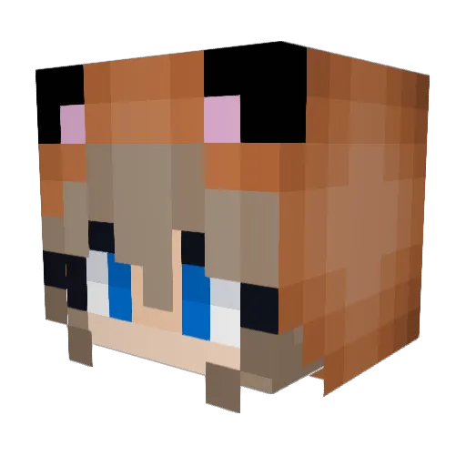 Mandalore96 Minecraft avatar head, 3D render