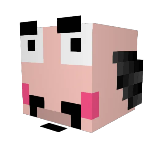MandanoRyuseigun Minecraft avatar head, 3D render