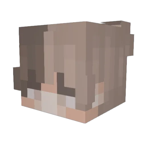 Mandarijnensap Minecraft avatar head, 3D render