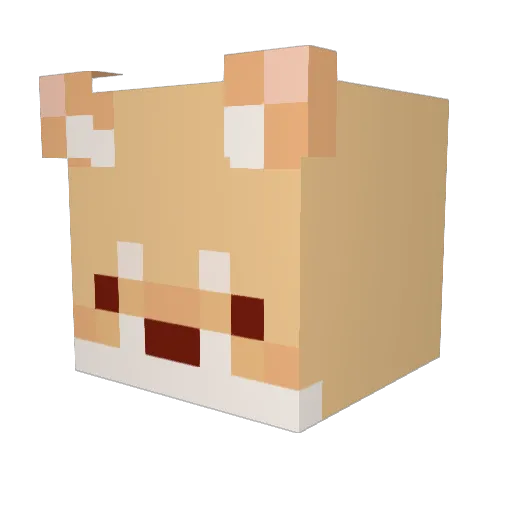 Mandugi_1111 Minecraft avatar head, 3D render