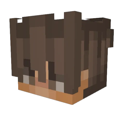 Mandy15 Minecraft avatar head, 3D render