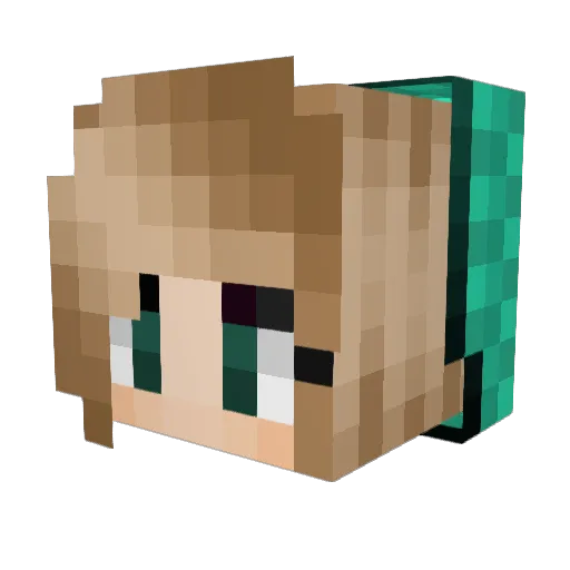 MandyBear0811 Minecraft avatar head, 3D render
