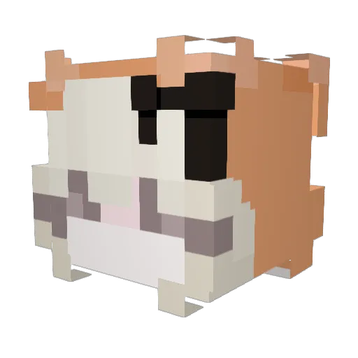 Mang0_Sorb3t Minecraft avatar head, 3D render