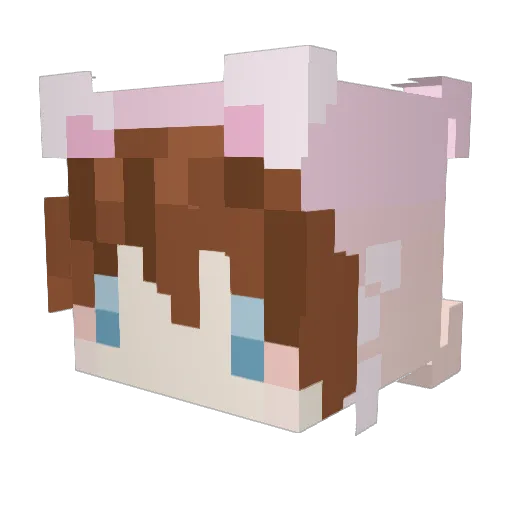 MangledRain Minecraft avatar head, 3D render