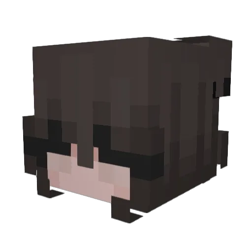 Mango2045 Minecraft avatar head, 3D render