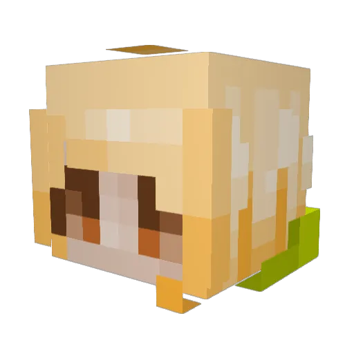 MangoChilli820 Minecraft avatar head, 3D render