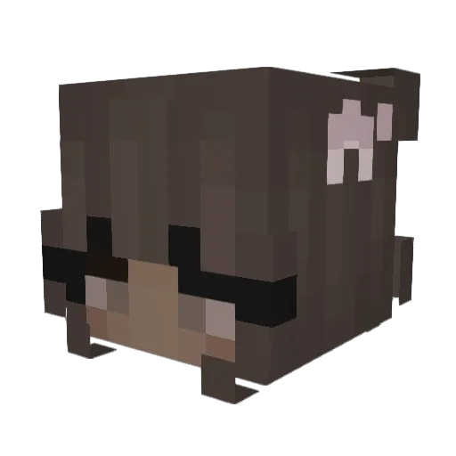 MangoFar Minecraft avatar head, 3D render