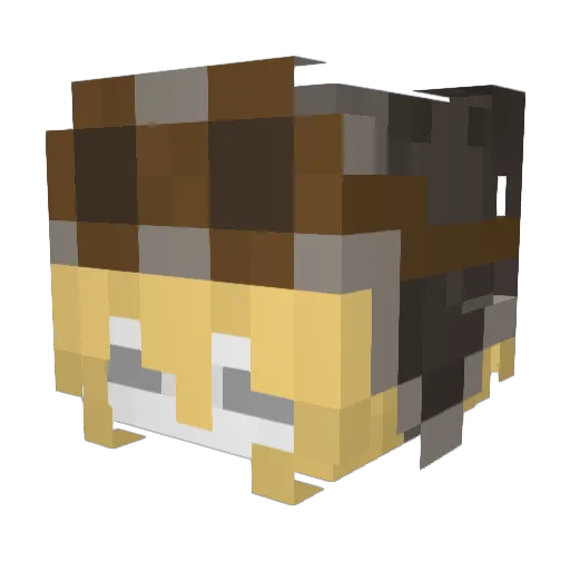 MangoMan7832 Minecraft avatar head, 3D render