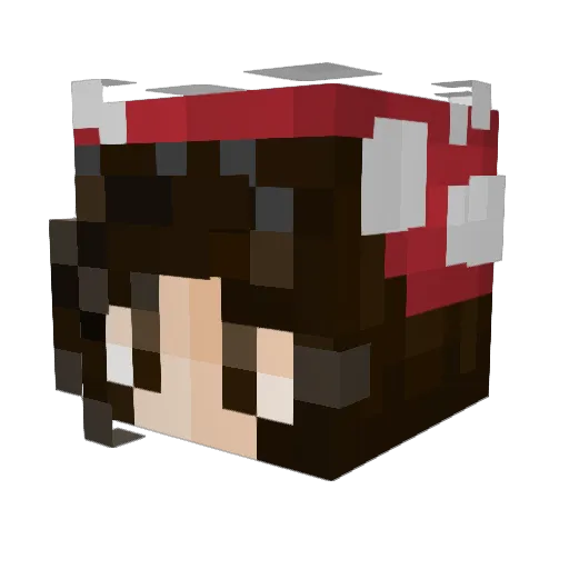 MangoRider Minecraft avatar head, 3D render