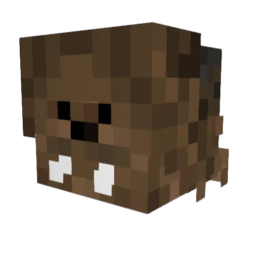 Mango_Wookiee Minecraft avatar head, 3D render