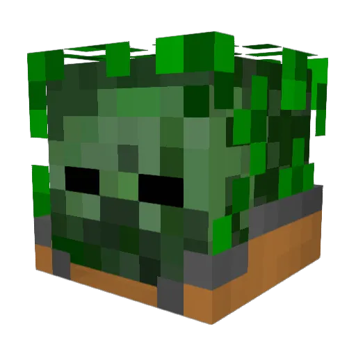 Mangoman0 Minecraft avatar head, 3D render