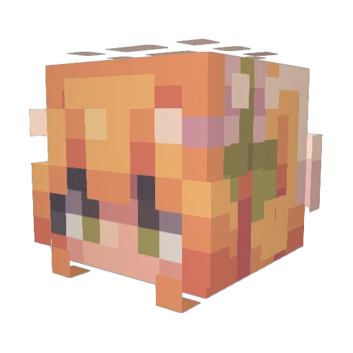 Mangoshakeee Minecraft avatar head, 3D render