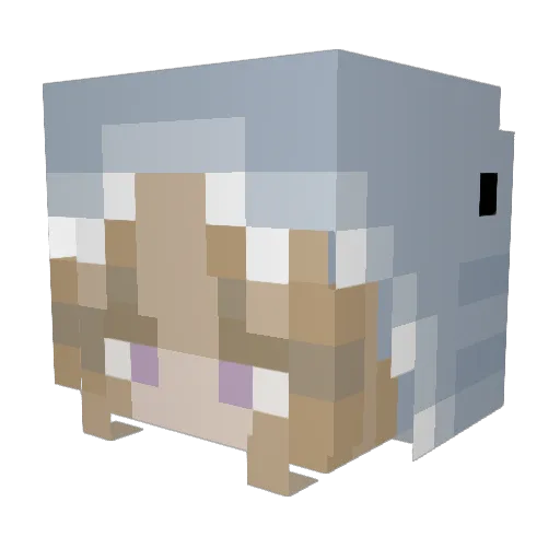 Mangotaro Minecraft avatar head, 3D render
