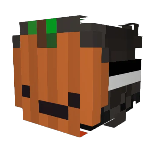 Manguito707 Minecraft avatar head, 3D render