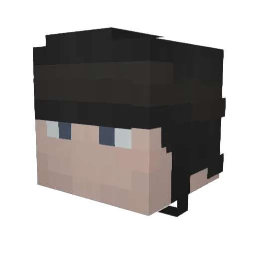 Mangus224 Minecraft avatar head, 3D render