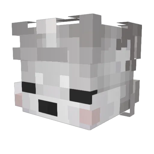 Mangus875 Minecraft avatar head, 3D render