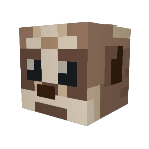 MangyMeerkat141 Minecraft avatar head, 3D render
