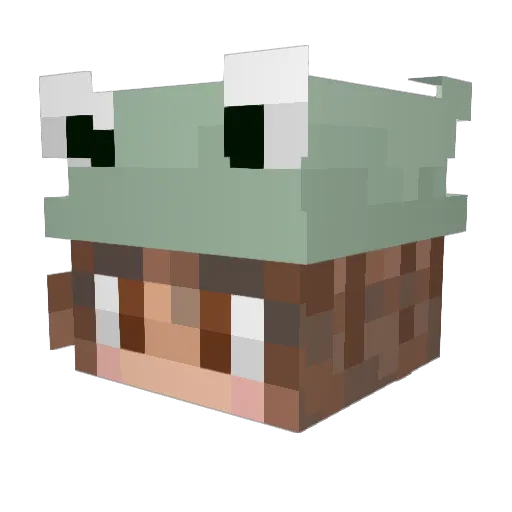 Mani2206 Minecraft avatar head, 3D render