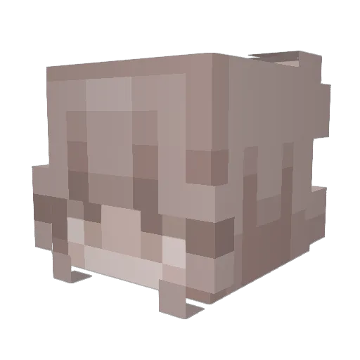 Maniac3271 Minecraft avatar head, 3D render