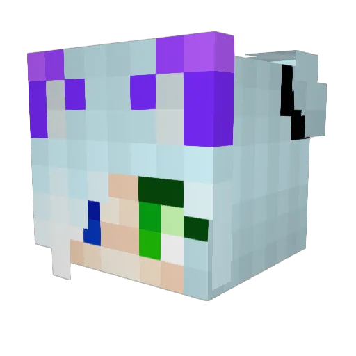 ManiacDylan2 Minecraft avatar head, 3D render