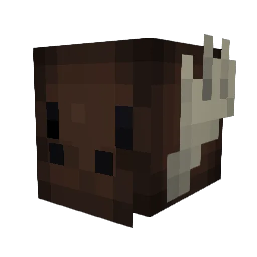 Manic_A Minecraft avatar head, 3D render