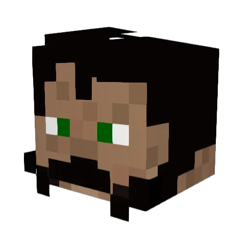 ManiolNaKoniu Minecraft avatar head, 3D render