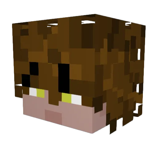 Manisfrmda765 Minecraft avatar head, 3D render