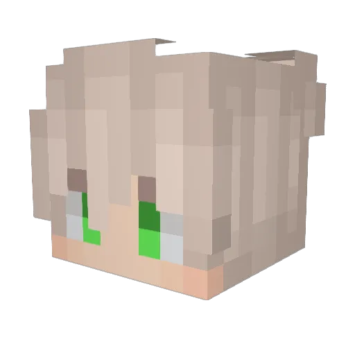 Mannan0 Minecraft avatar head, 3D render
