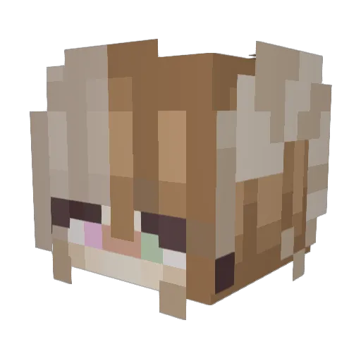 Mannarii Minecraft avatar head, 3D render