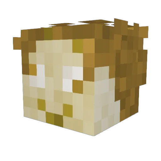 MannfredSigmaboy Minecraft avatar head, 3D render