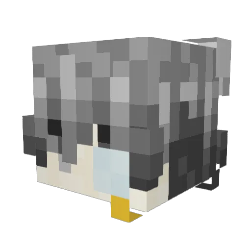 Manntt_ Minecraft avatar head, 3D render