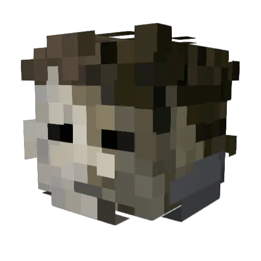MannyGamer101 Minecraft avatar head, 3D render