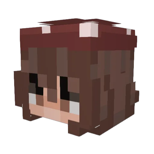Manoa2013 Minecraft avatar head, 3D render