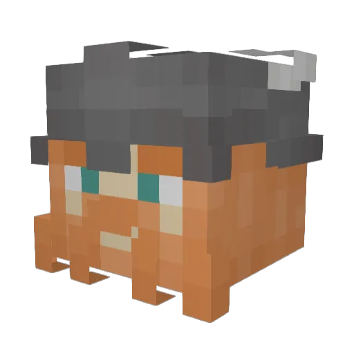 Manoflakes Minecraft avatar head, 3D render