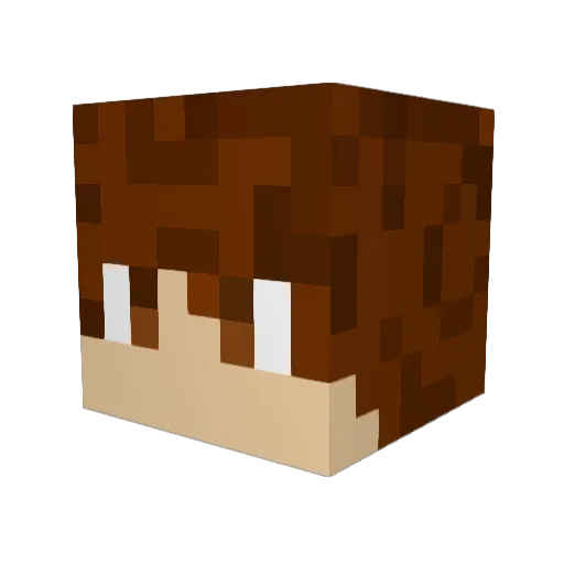 ManoftheHouse417 Minecraft avatar head, 3D render