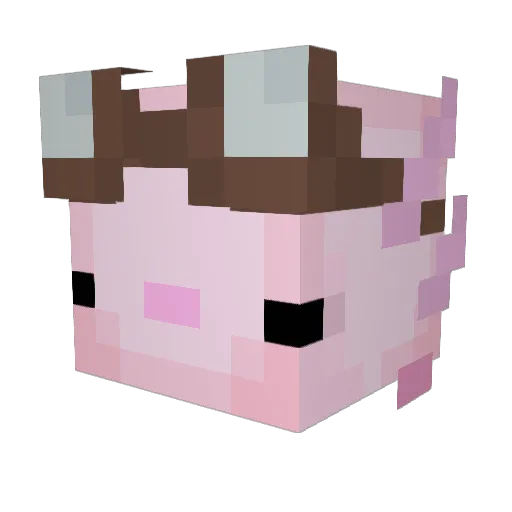Mansyrup7 Minecraft avatar head, 3D render