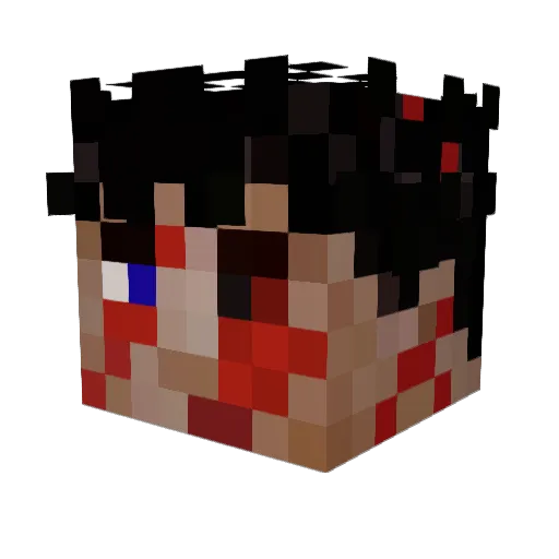 Manu1480 Minecraft avatar head, 3D render