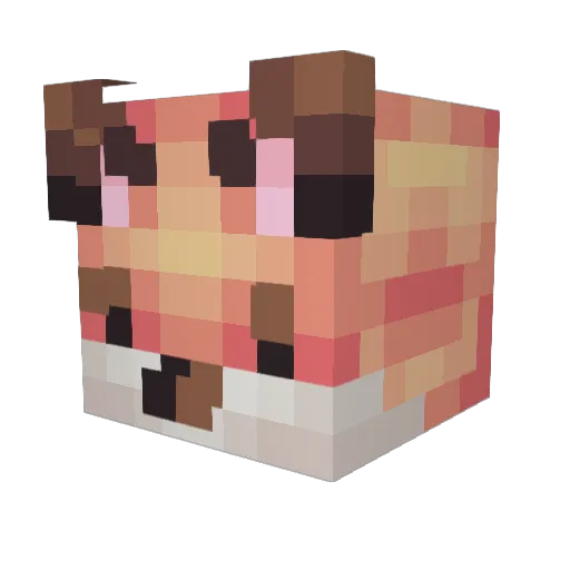 Manu2018 Minecraft avatar head, 3D render