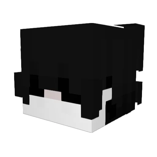 ManuCastro99 Minecraft avatar head, 3D render