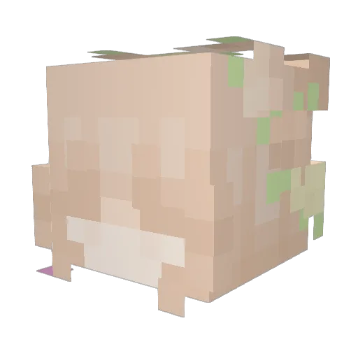 Manu_Phoenix Minecraft avatar head, 3D render