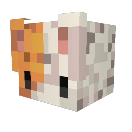 Manu_T6 Minecraft avatar head, 3D render
