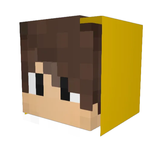 Manual_Nerd Minecraft avatar head, 3D render