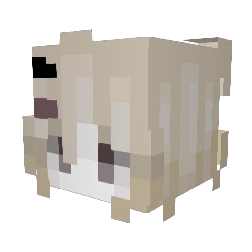 ManuelWife Minecraft avatar head, 3D render